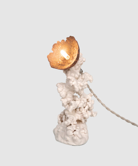 Epimorph lamp - Selenite