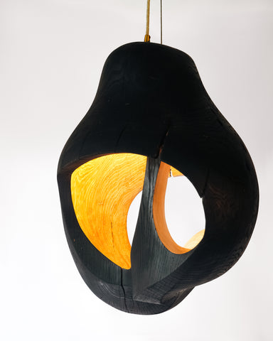 Brood Lamp