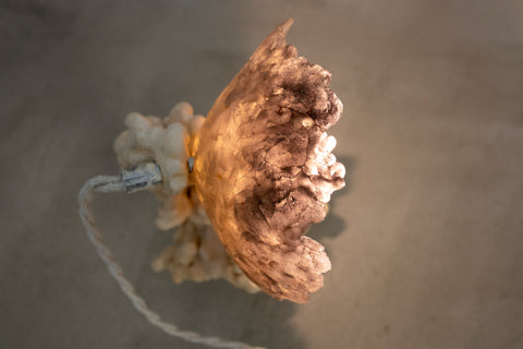 Goetite Lamp