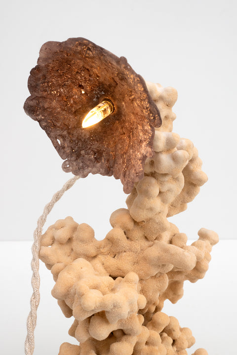 Goetite Lamp