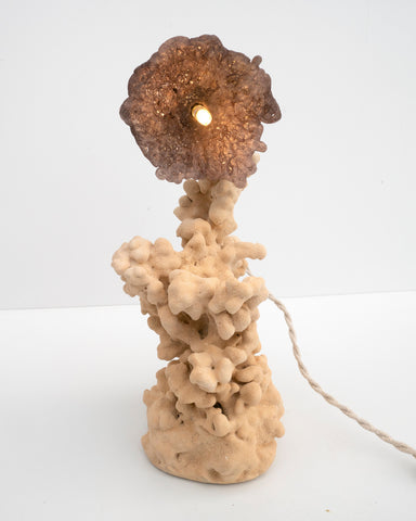 Goetite Lamp