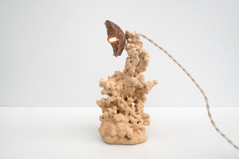Goetite Lamp