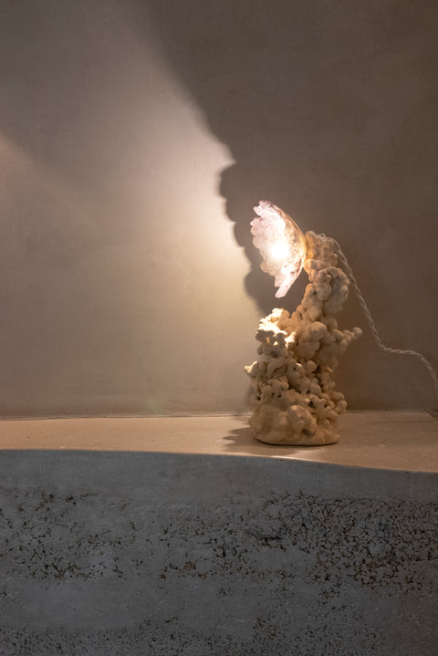 Goetite Lamp