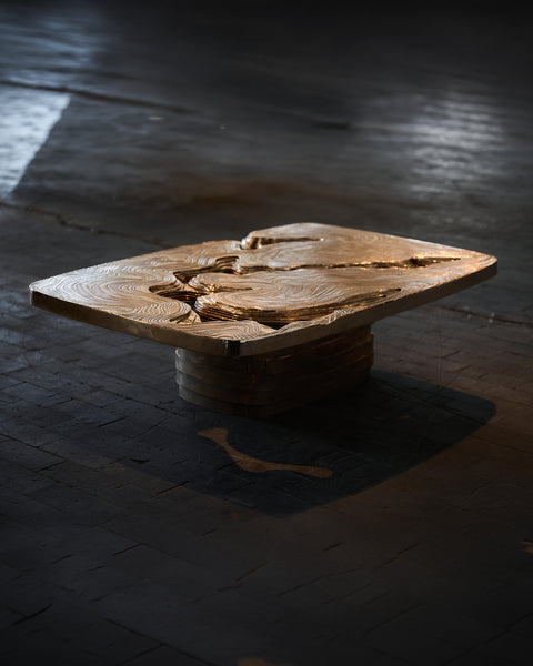 Hypsomèstrique Bronze