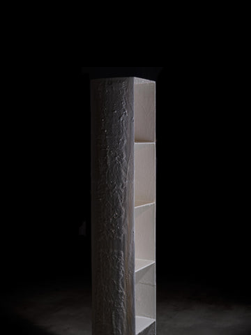 Melting Rose Bookcase