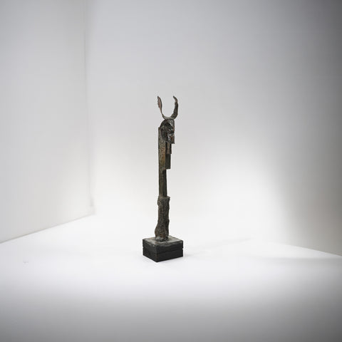 Immigrant from Space