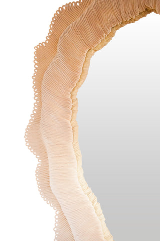 Orbicella