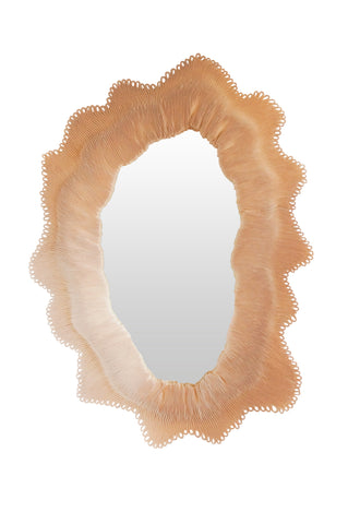 Orbicella