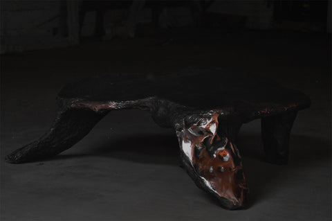 Platypus
