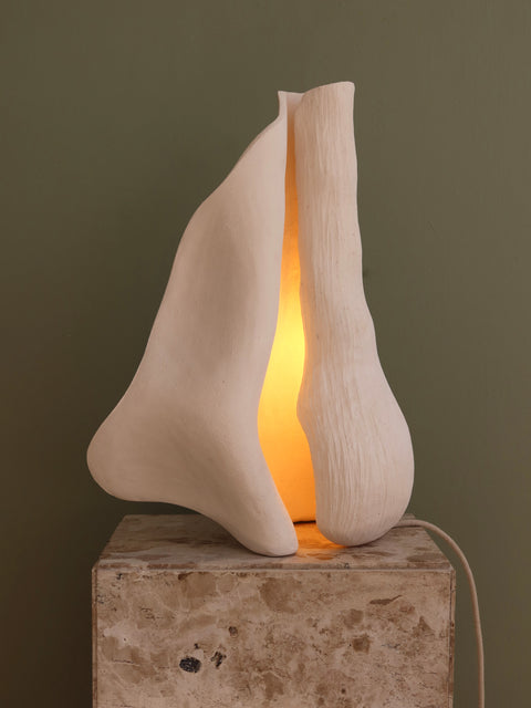 Reef Lamp