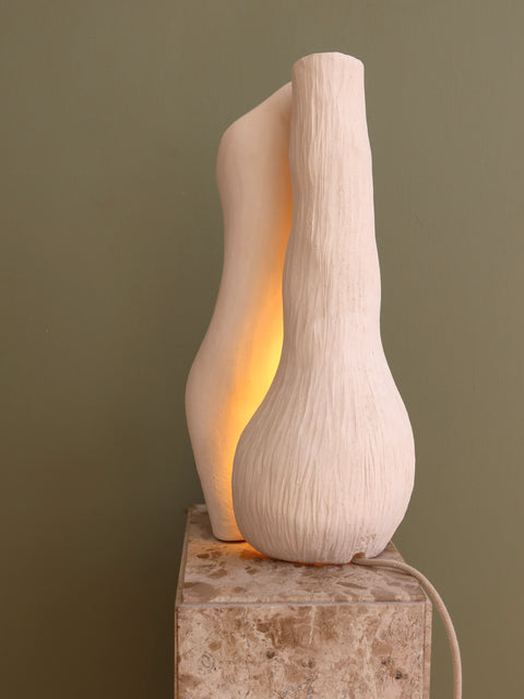 Reef Lamp