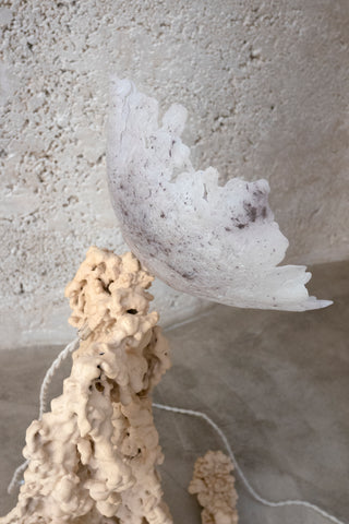 Rheo Lamp