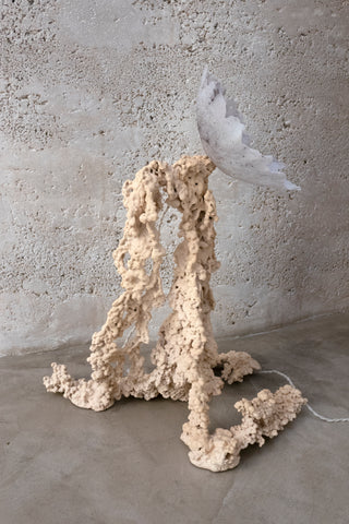 Rheo Lamp
