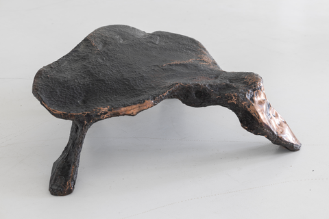 Platypus