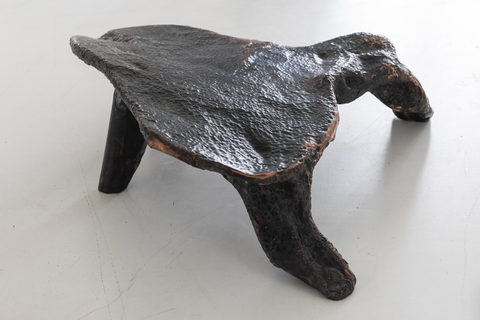Platypus