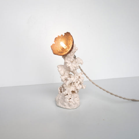 Epimorph lamp - Selenite