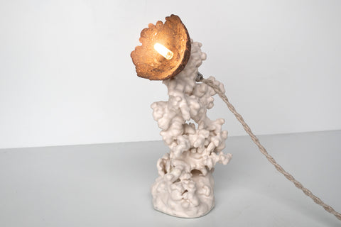 Epimorph lamp - Selenite