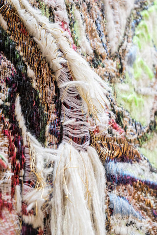 Venus Tapestry