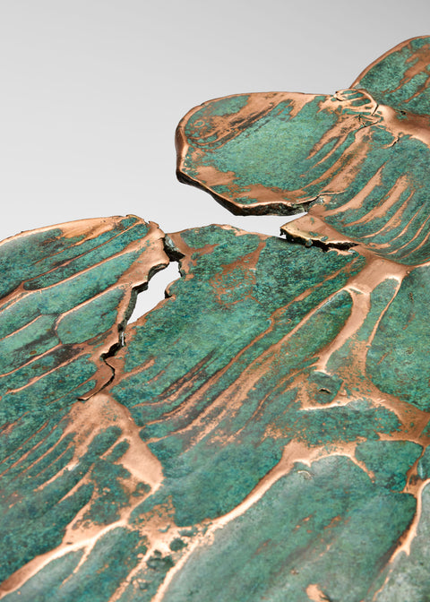 Copper Server On Trestles