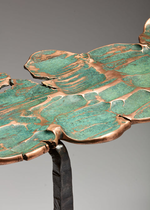 Copper Server On Trestles