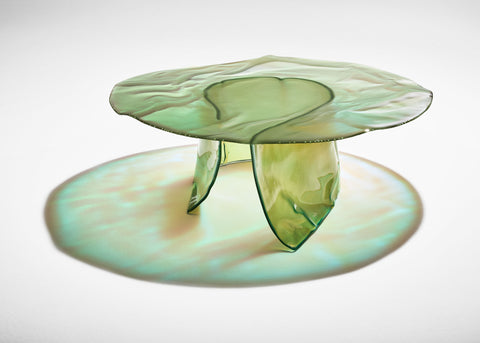 Free Form Coffee Table