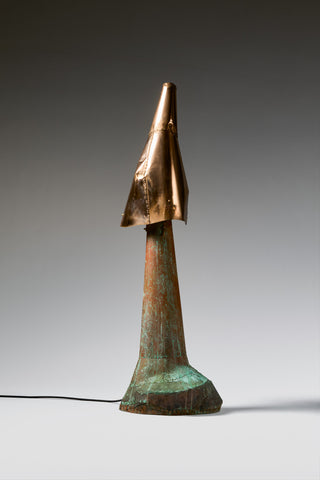 BL 21
