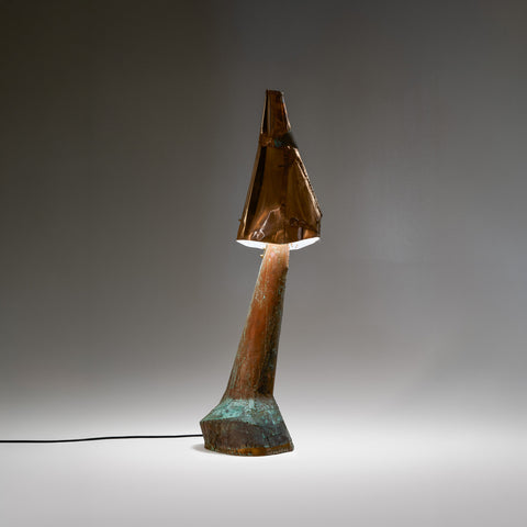 BL 21