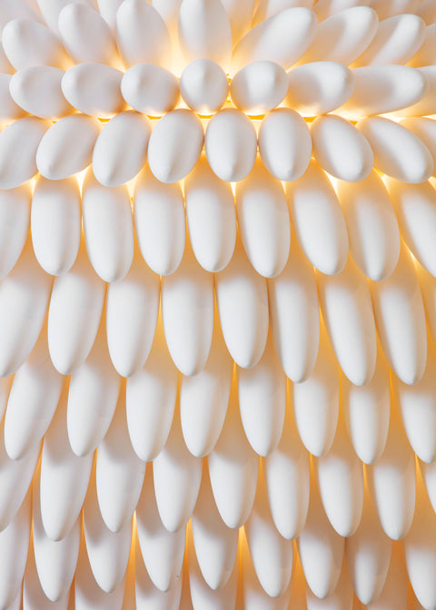 Zephyr “Saint Tropez”