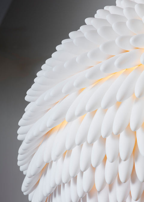 Zephyr “Saint Tropez”