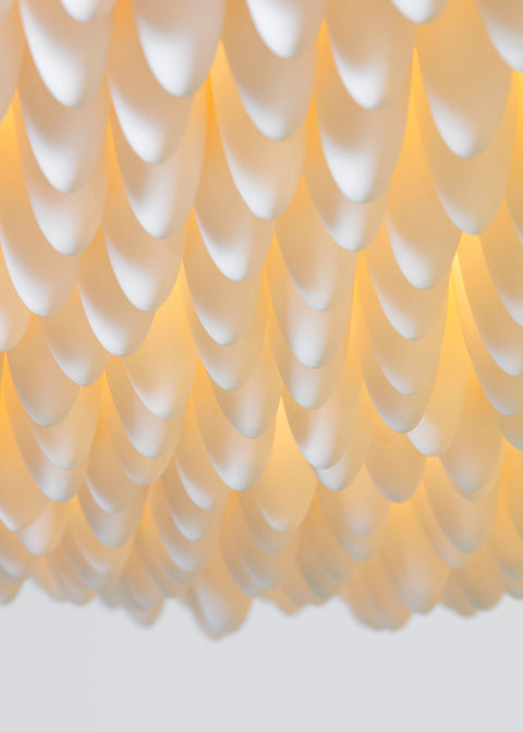 Zephyr “Saint Tropez”