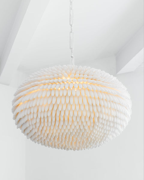 Zephyr “Saint Tropez”