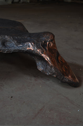 Platypus