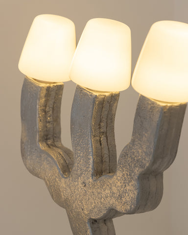 This Is Not A Lamp